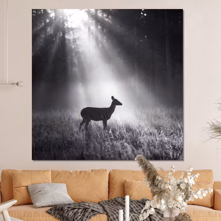 Forex - Hert - Bos - Zonnestralen - Zwart-wit - Natuur — 4