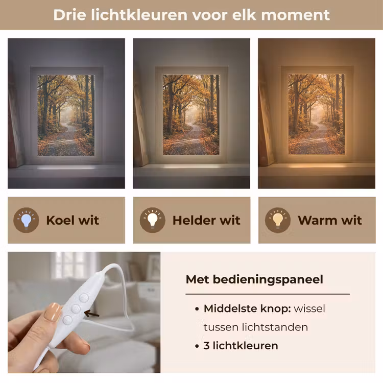 Tafellamp - Bospad - Herfstbos - Bladeren - Oranje - Nostalgisch — 6