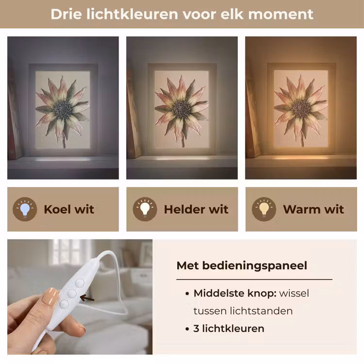 Tafellamp - Droogbloem - Protea - Vintage - Beige - Rustiek — 6
