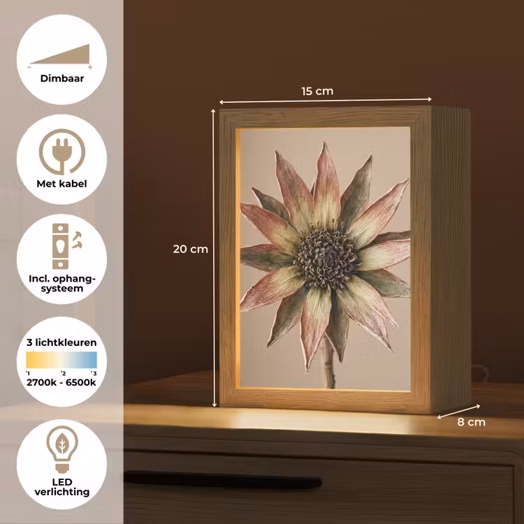 Tafellamp - Droogbloem - Protea - Vintage - Beige - Rustiek — 7