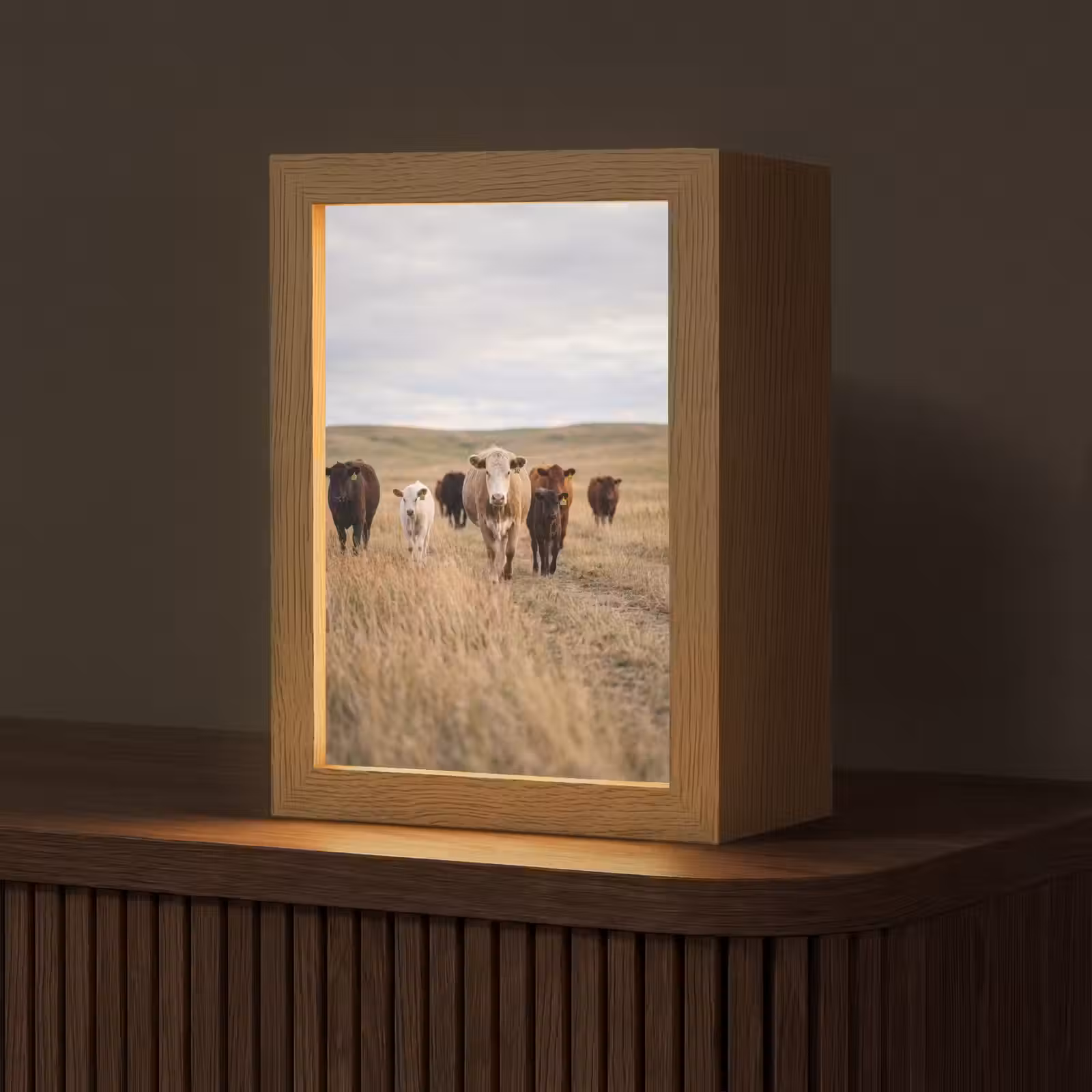 Tafellamp - Runderen - Kudde - Landschap - Weide - Rustig — 1