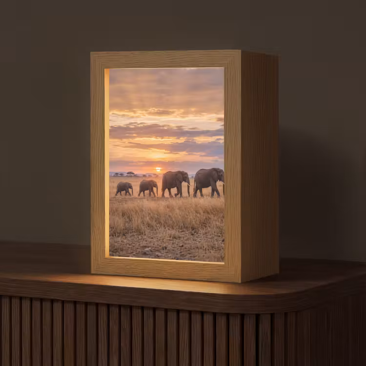 Tafellamp - Olifanten - Savanne - Zonsondergang - Afrika - Warm