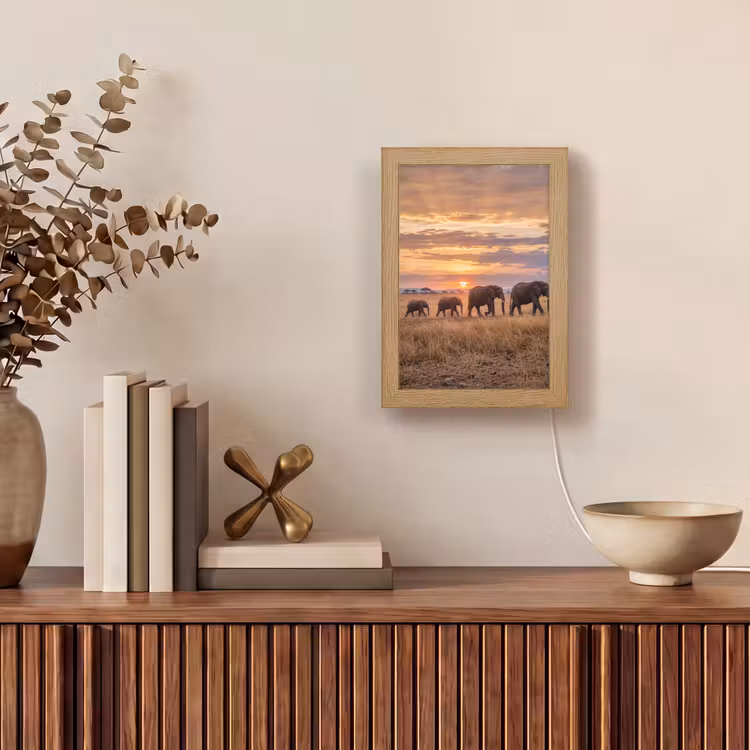 Tafellamp - Olifanten - Savanne - Zonsondergang - Afrika - Warm — 4