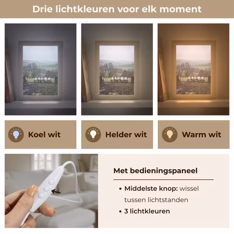 Tafellamp - Schapen - Rij - Weide - Dieren - Platteland — 6