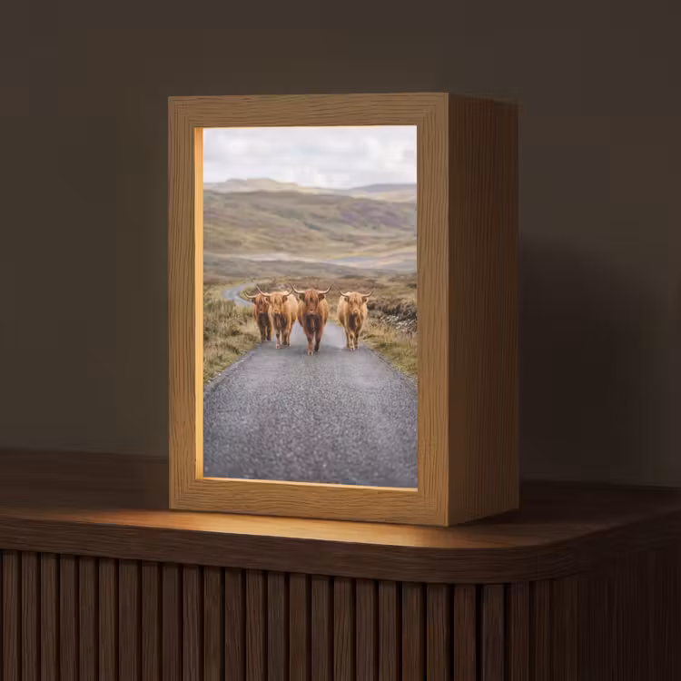 Tafellamp - Schotse Hooglanders - Weg - Landschap - Kudde