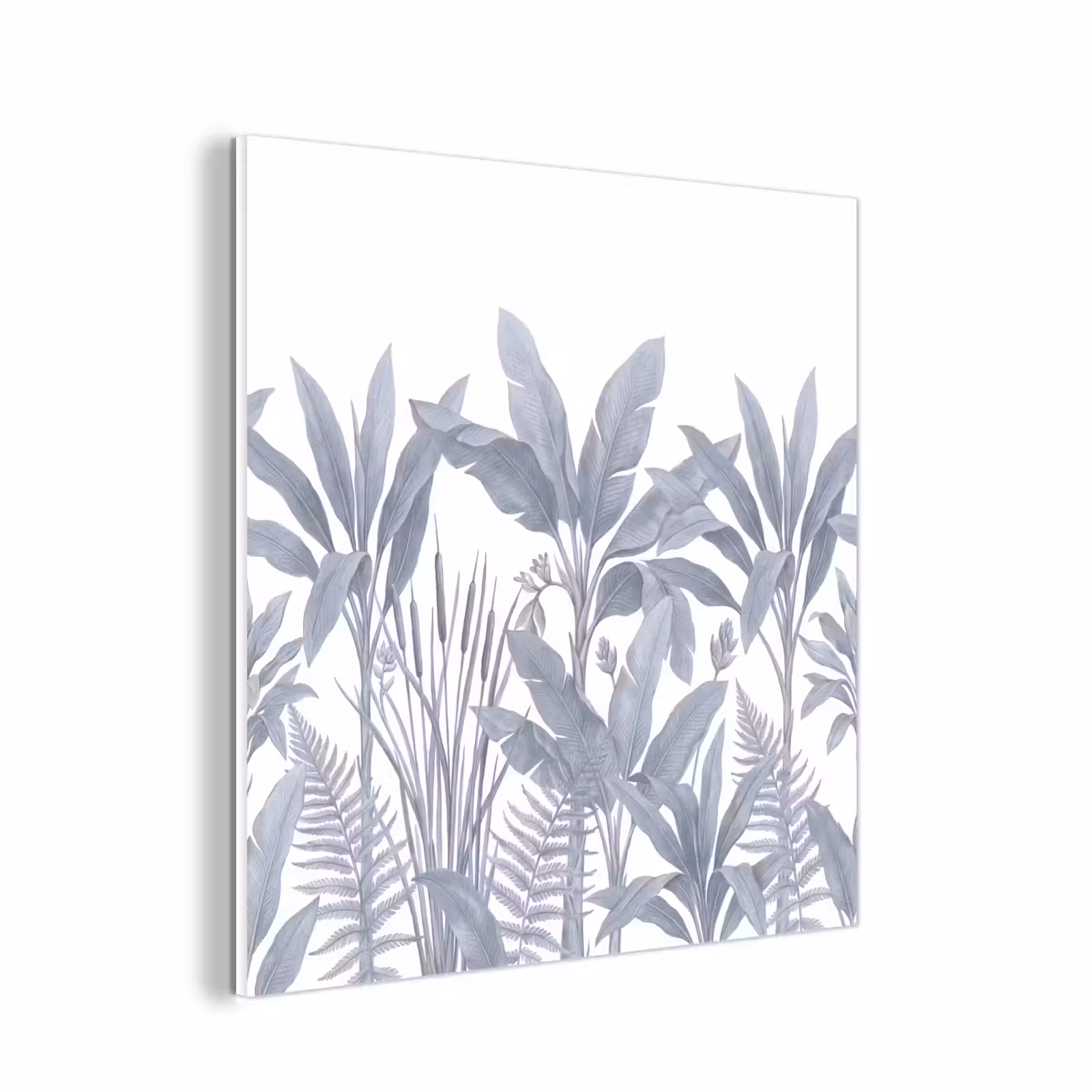 Forex - Planten - Bladeren - Natuur - Grijs — 1