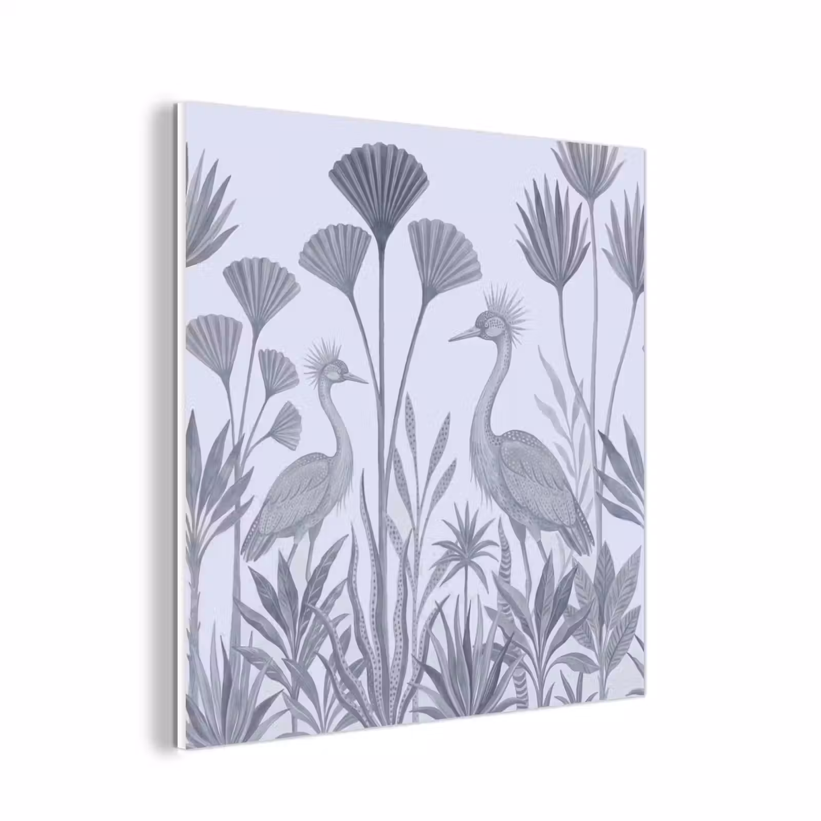 Forex - Vogel - Tropisch - Illustratie - Blauwgrijs - Natuur — 1