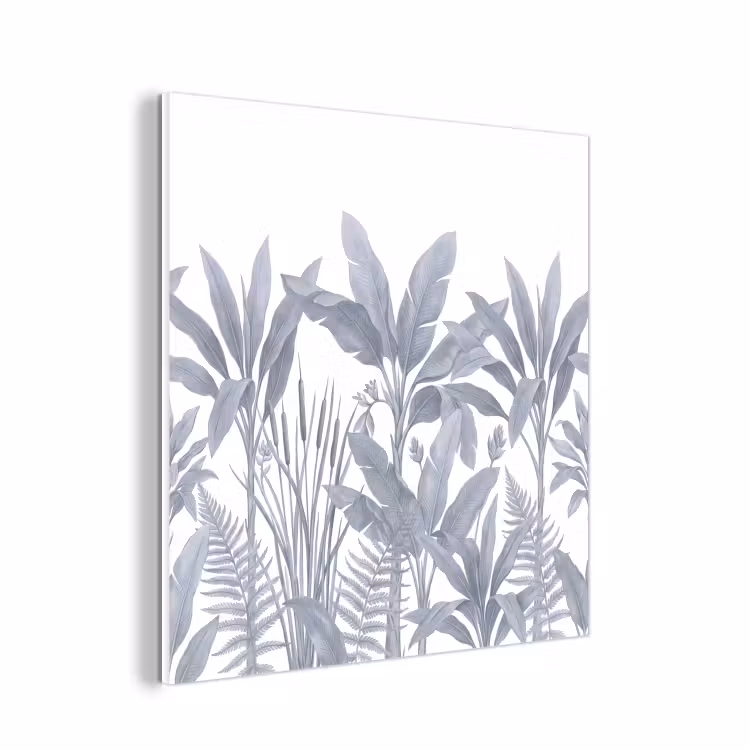 Forex - Planten - Bladeren - Natuur - Grijs — 1
