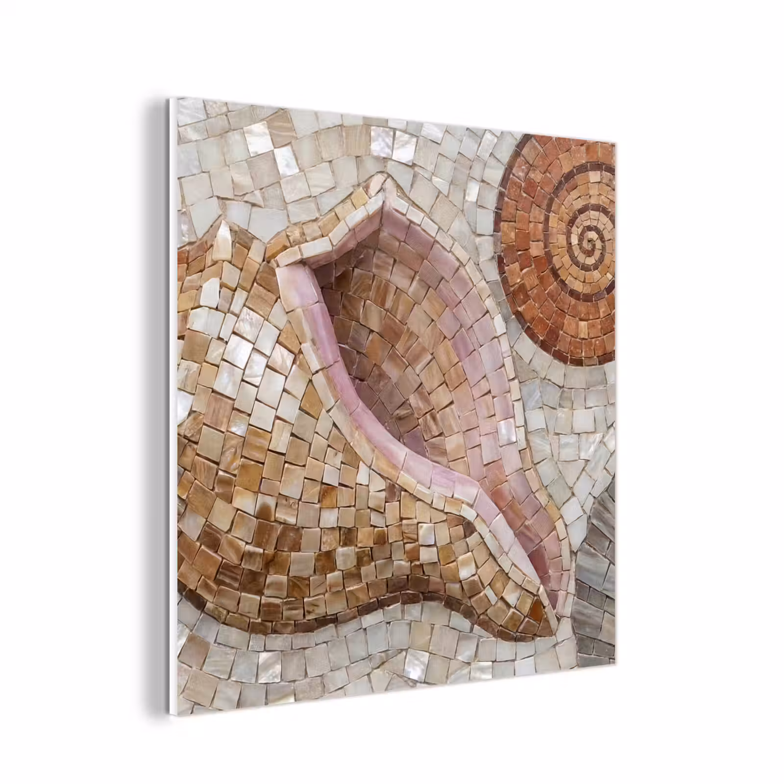 Forex - Schelp - Mozaïek - Zee - Beige - Modern — 1