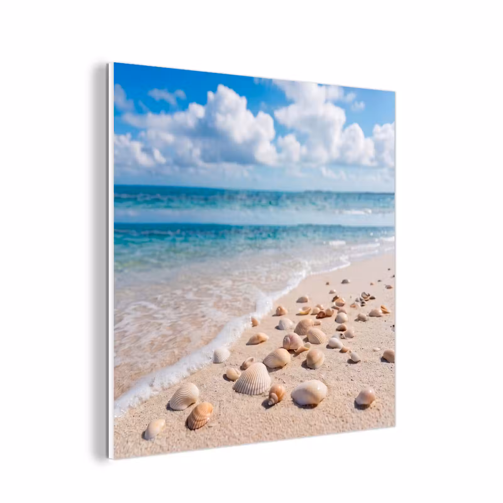 Forex - Schelpen - Strand - Natuur - Beige — 1