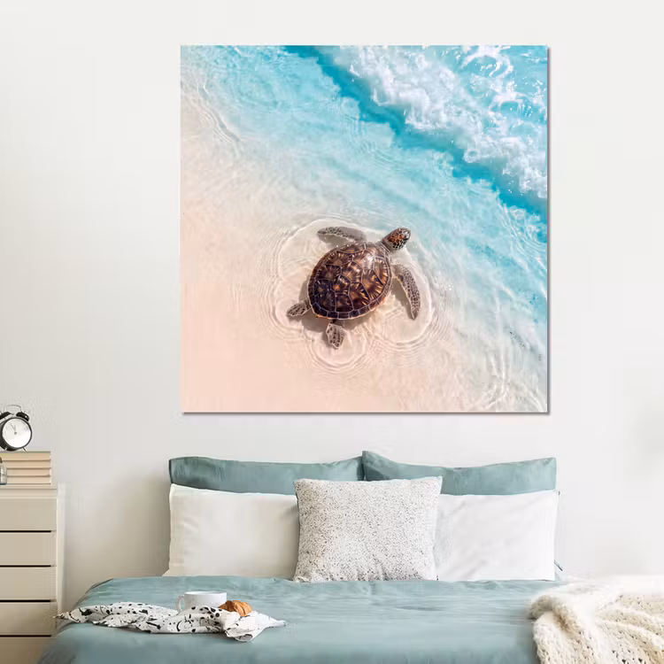 Forex - Schildpad - Helder water - Strand - Dieren - Natuur — 2