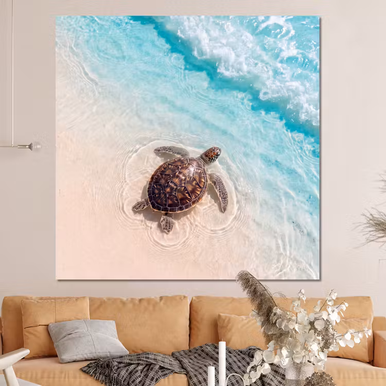 Forex - Schildpad - Helder water - Strand - Dieren - Natuur — 4