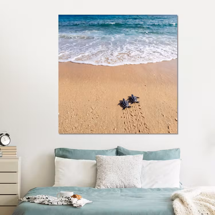 Forex - Schildpad - Jong - Strand - Oceaan - Blauw — 2