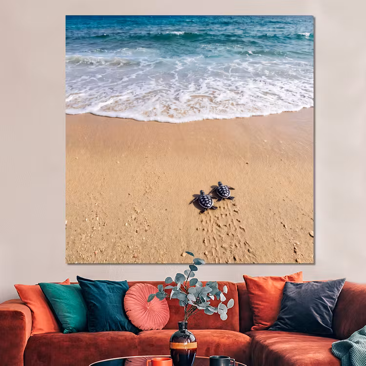 Forex - Schildpad - Jong - Strand - Oceaan - Blauw — 3