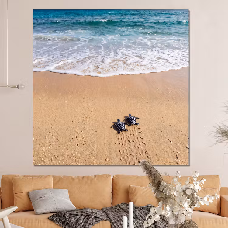 Forex - Schildpad - Jong - Strand - Oceaan - Blauw — 4