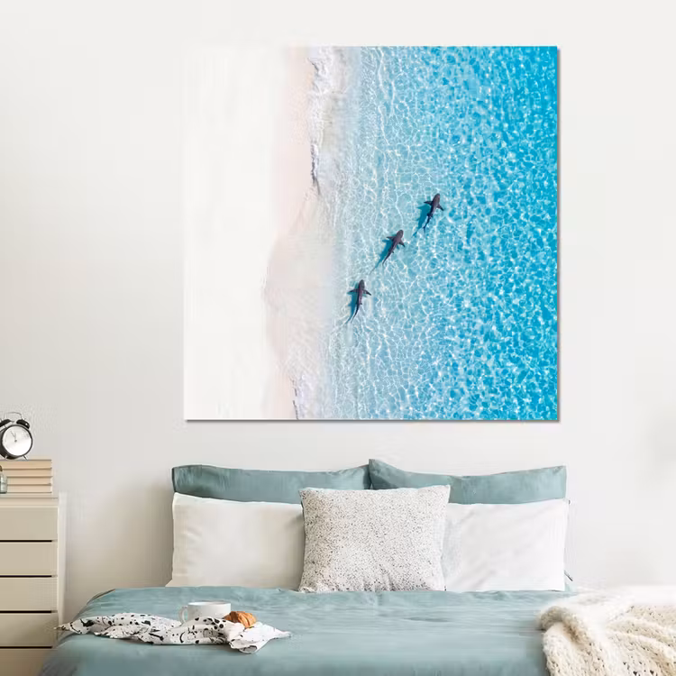 Forex - Vis - Oceaan - Strand - Turquoise - Natuur — 2