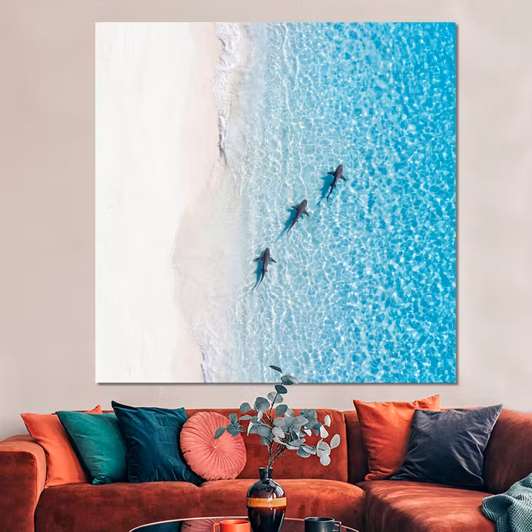 Forex - Vis - Oceaan - Strand - Turquoise - Natuur — 3