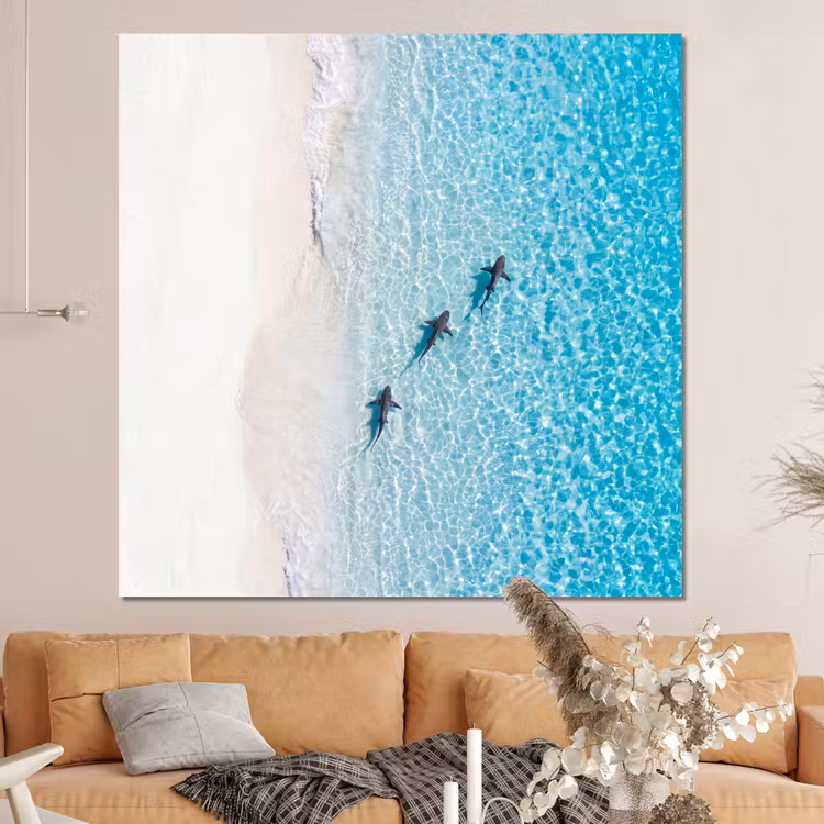 Forex - Vis - Oceaan - Strand - Turquoise - Natuur — 4