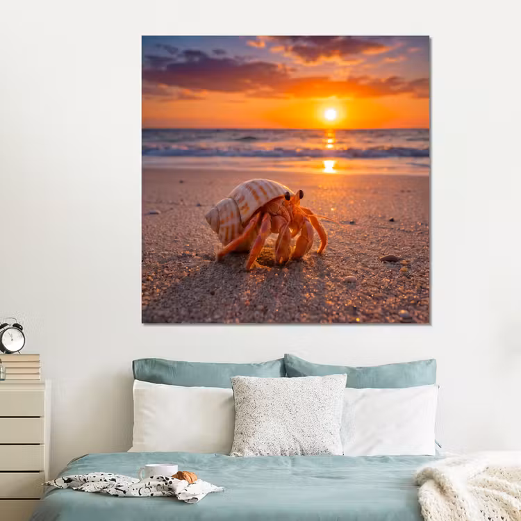Forex - Kreeft - Strand - Natuur - Zonsondergang - Oranje — 2