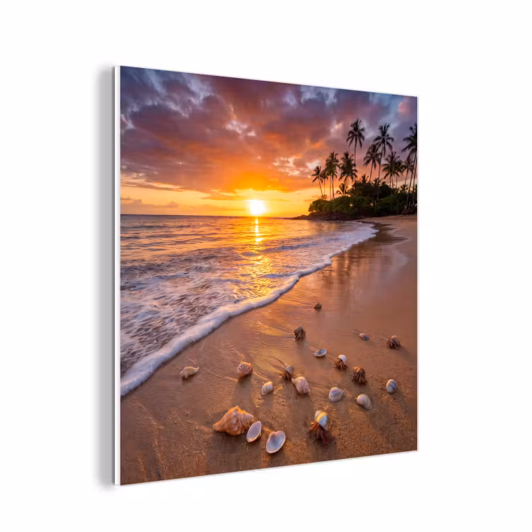 Forex - Strand - Zonsondergang - Palmbomen - Natuur - Oranje — 1
