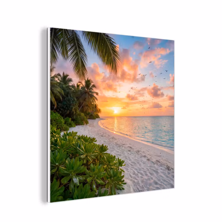 Forex - Strand - Zonsondergang - Palmbomen - Tropisch - Natuur — 1