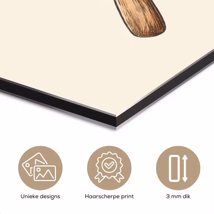 Aluminium schilderij - Garde - Hout - Beige — 7