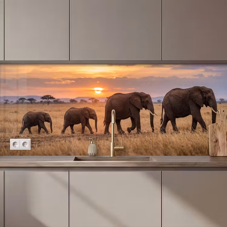Keuken achterwand - Olifanten - Savanne - Zonsondergang - Afrika - Warm