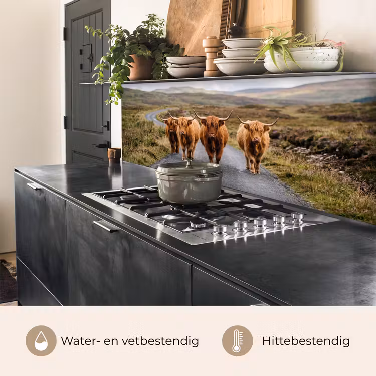 Keuken achterwand - Schotse Hooglanders - Weg - Landschap - Kudde — 3