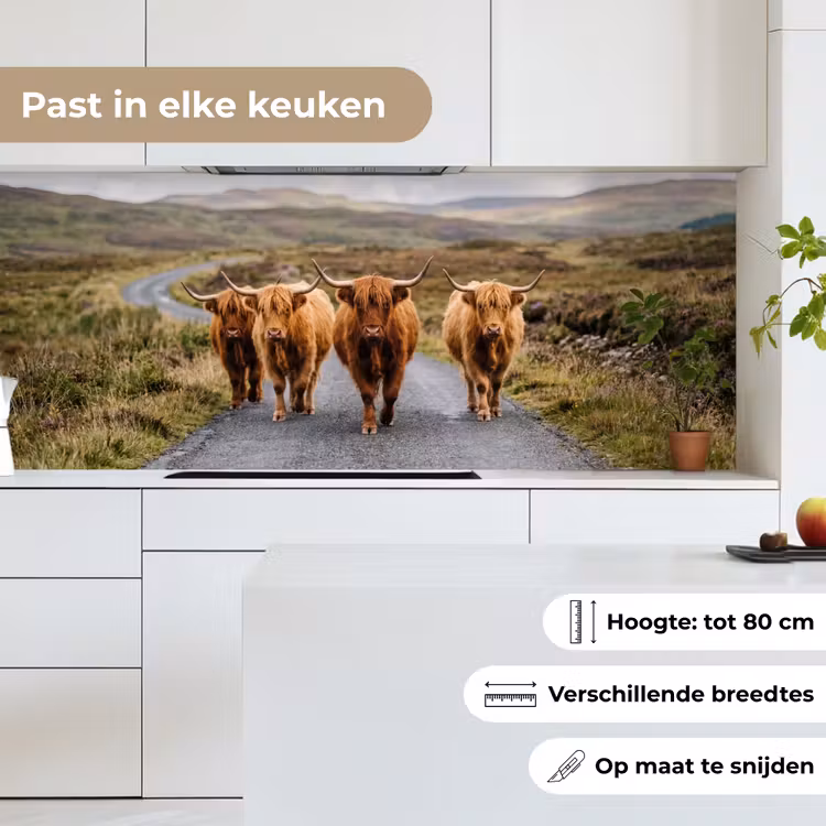 Keuken achterwand - Schotse Hooglanders - Weg - Landschap - Kudde — 4