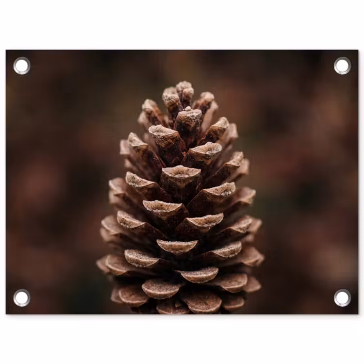 Tuinposter - Dennenappel - Bos - Herfst - Bruin - Sfeervol