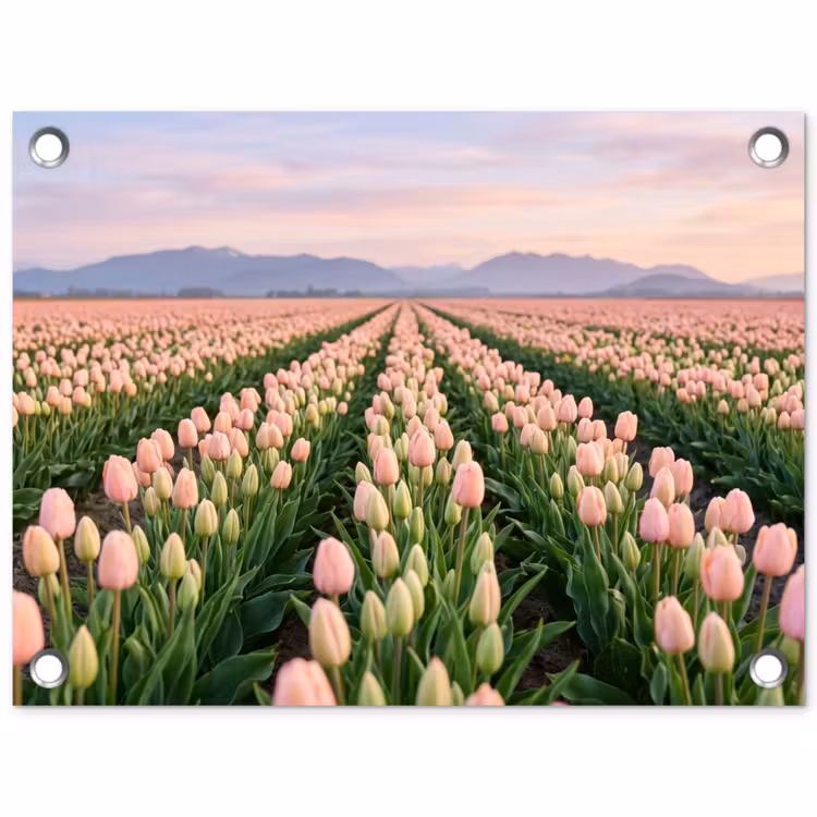 Tuinposter - Tulpen - Landschap - Roze