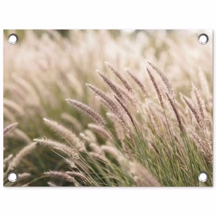 Tuinposter - Gras - Close up - Groen