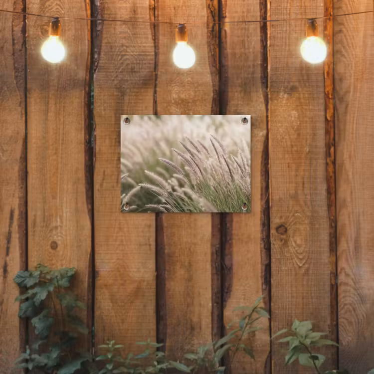 Tuinposter - Pluimgras Veld — 2