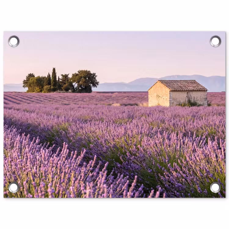 Tuinposter - Lavendel - Landschap - Sereen - Paars