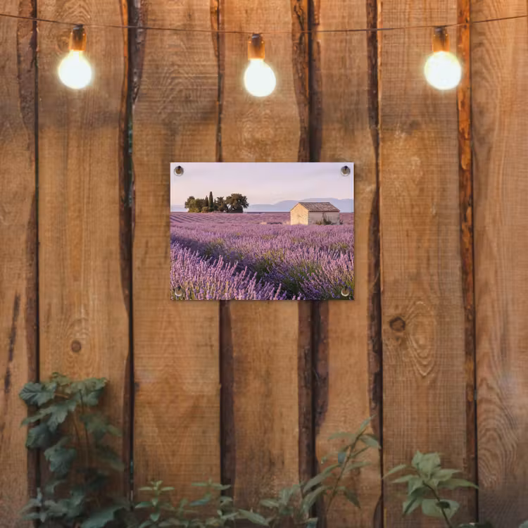 Tuinposter - Lavendelveld met Stenen Huisje — 2