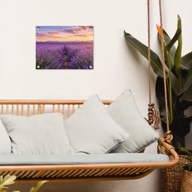 Tuinposter - Lavendelveld Bergen Zonsondergang — 5