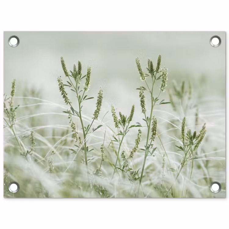 Tuinposter - Grassen - Minimalistisch - Groen