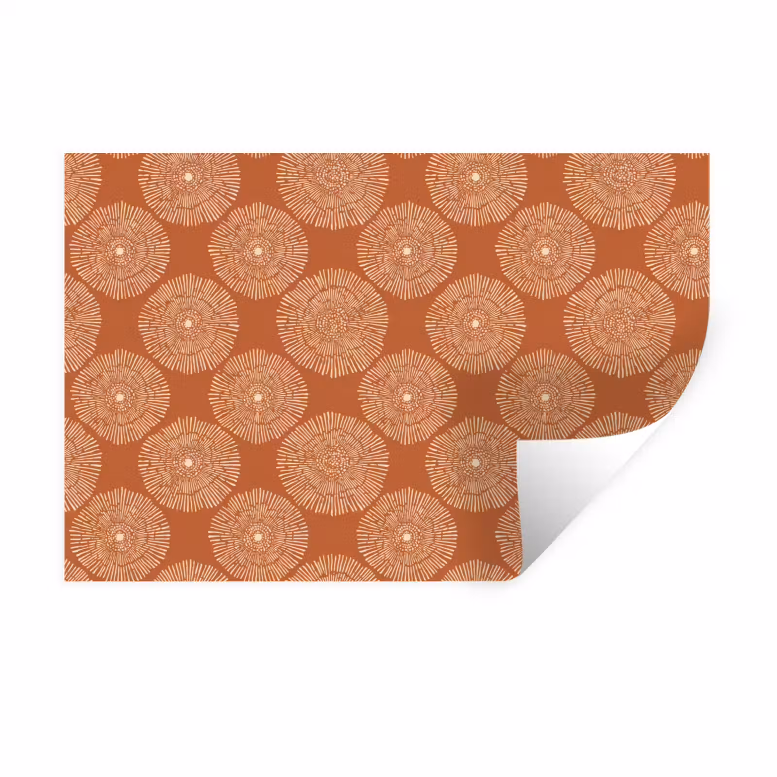 Muursticker - Cirkels - Grafisch - Patroon - Terracotta — 1