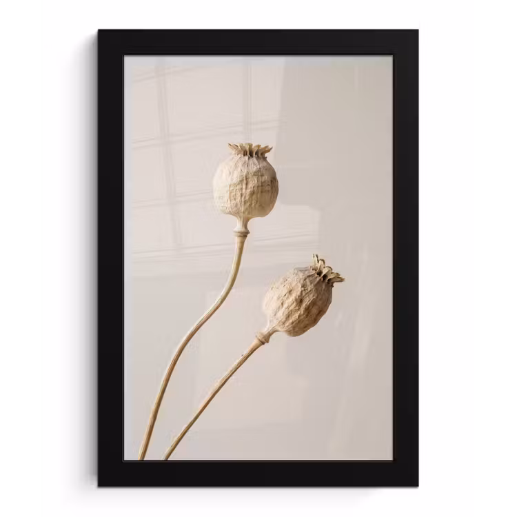 Poster met lijst - Papaverbollen - Droogbloemen - Minimalistisch - Beige - Rustig