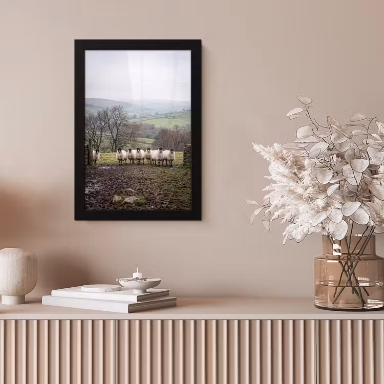 Poster met lijst - Schapen - Rij - Weide - Dieren - Platteland — 5