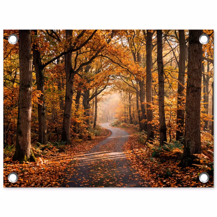 Tuinposter - Bospad - Herfstbos - Bladeren - Oranje - Nostalgisch