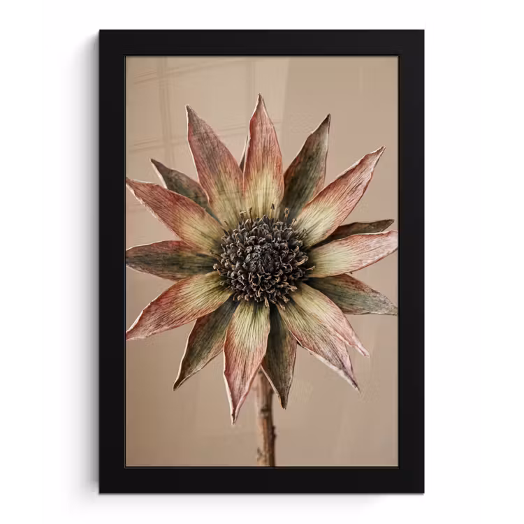 Poster met lijst - Droogbloem - Protea - Vintage - Beige - Rustiek
