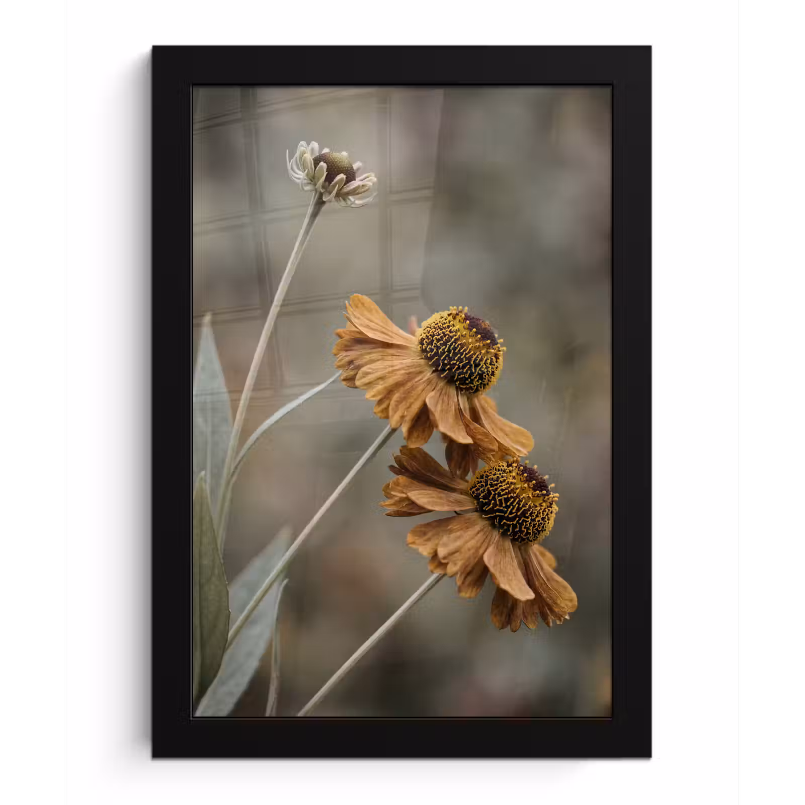 Poster met lijst - Zonnehoed - Droogbloemen - Geel - Warm — 1