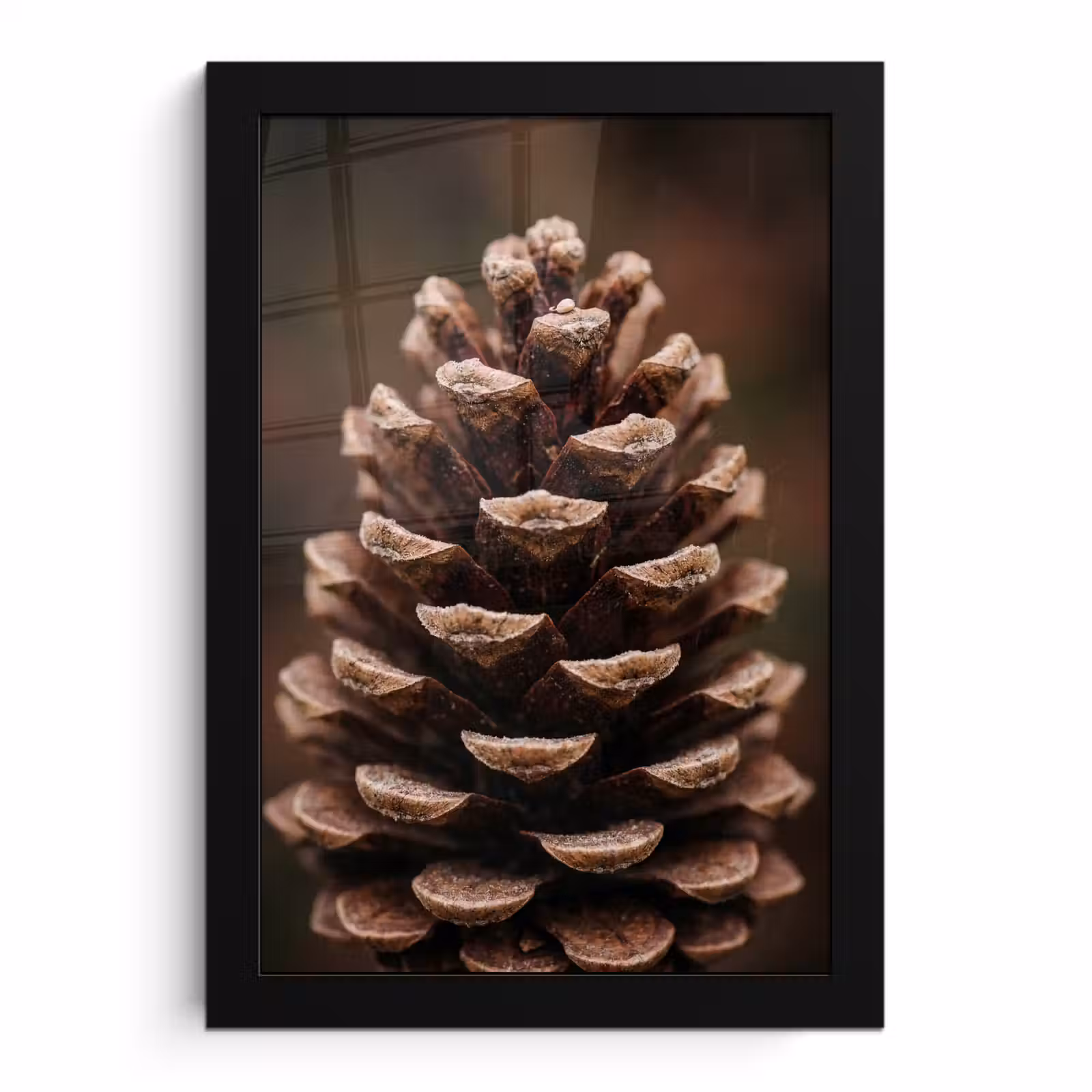 Poster met lijst - Dennenappel - Bos - Herfst - Bruin - Sfeervol — 1