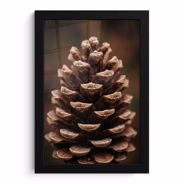 Poster met lijst - Dennenappel - Bos - Herfst - Bruin - Sfeervol