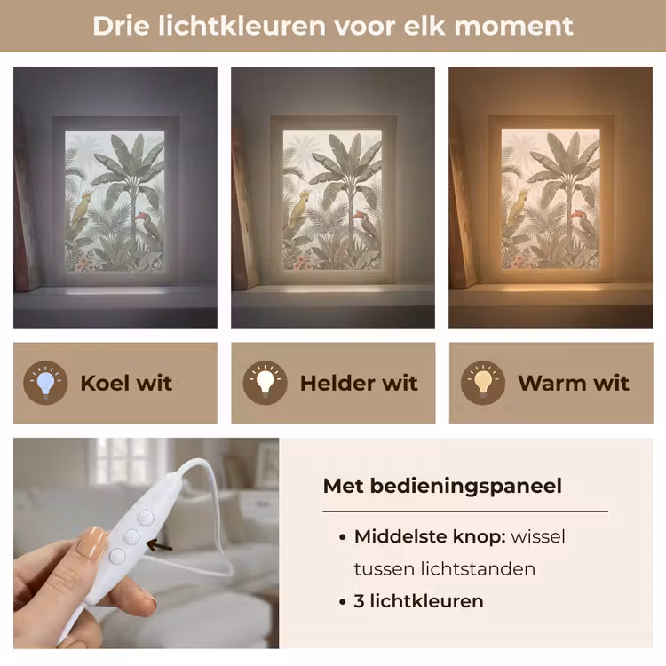 Gepersonaliseerde lightbox - Vogel - Jungle - Tropisch - Illustratie - Groen — 6