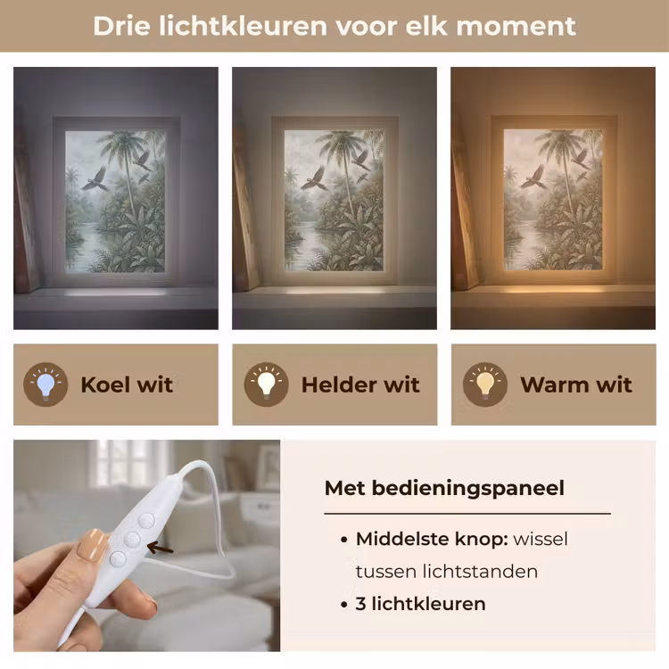 Gepersonaliseerde lightbox - Vogel - Vliegend - Tropisch - Landschap - Klassiek — 6