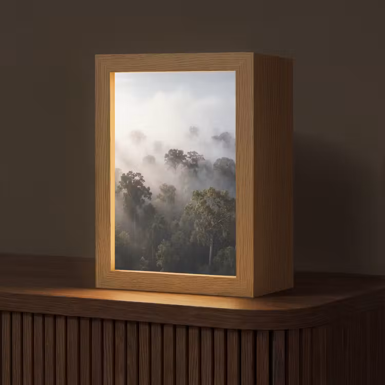 Gepersonaliseerde lightbox - Bos - Mist - Natuur - Groen — 1