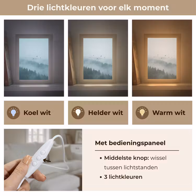 Gepersonaliseerde lightbox - Bos - Mist - Vogels - Natuur - Groen — 6