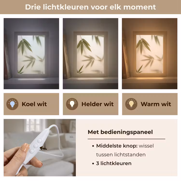 Gepersonaliseerde lightbox - Planten - Bladeren - Natuur - Groen — 6